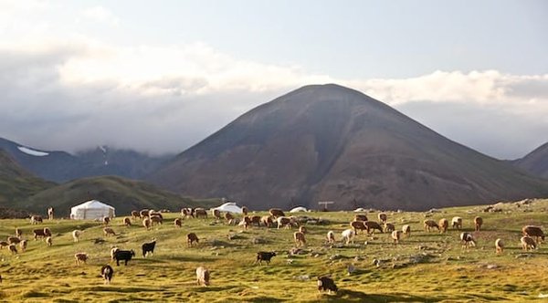 La fascinante culture nomade de la Mongolie