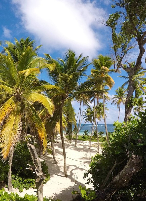 Quelles sont les astuces pour une expérience de plongée nocturne en mer des Caraïbes ?