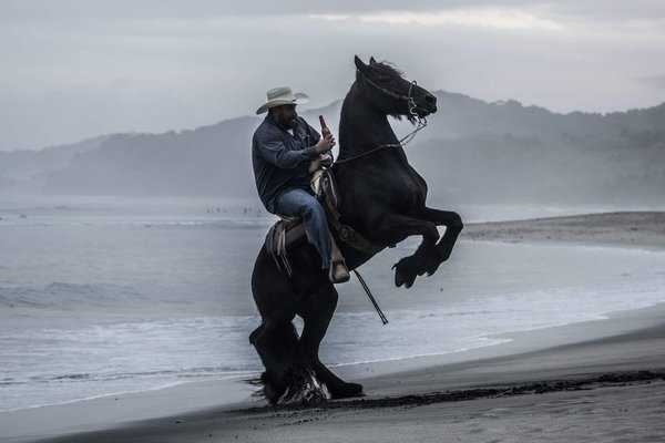 Comment choisir le bon équipement pour le camping à cheval ?
