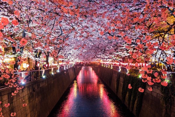 Quels sont les festivals de danse traditionnelle à ne pas manquer au Japon ?