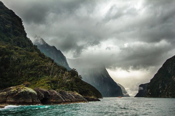Croisières dans les fjords suédois : Nature préservée et tranquillité
