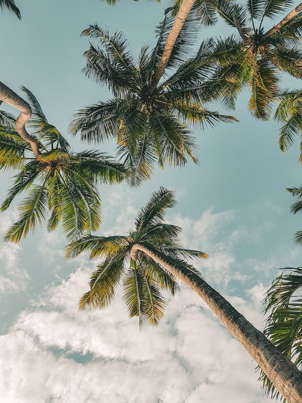 Est-il avantageux de choisir une location avec un potager pour des vacances autosuffisantes ?