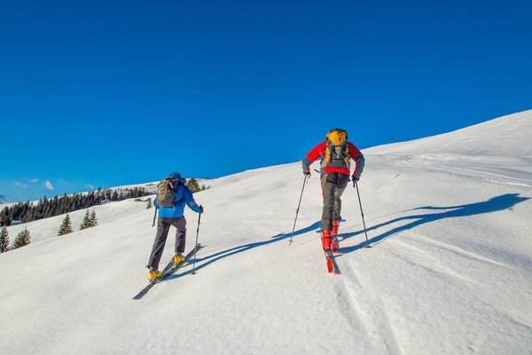 Comment évaluer et choisir les meilleurs sentiers de randonnée adaptés au niveau des participants ?