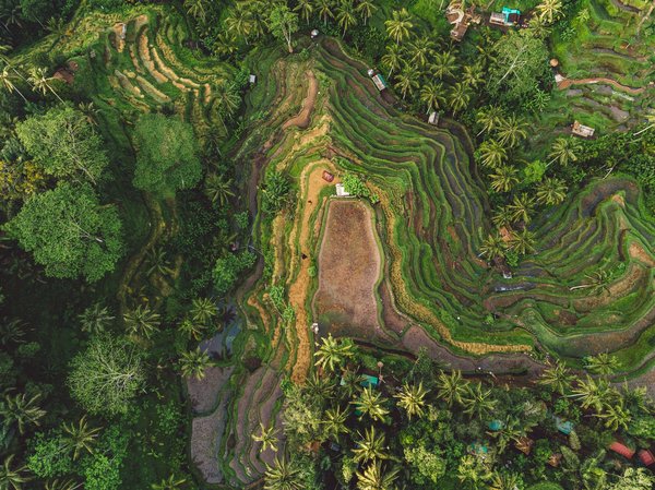 Est-il possible de trouver une location à Bali avec des cours de sculpture sur bois et une piscine à débordement?